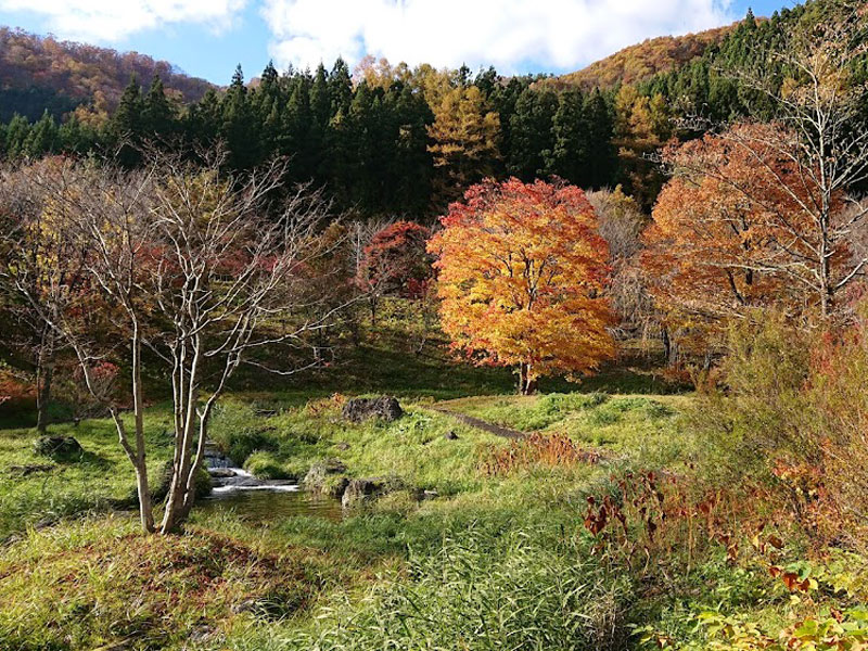 狼久保河川公園