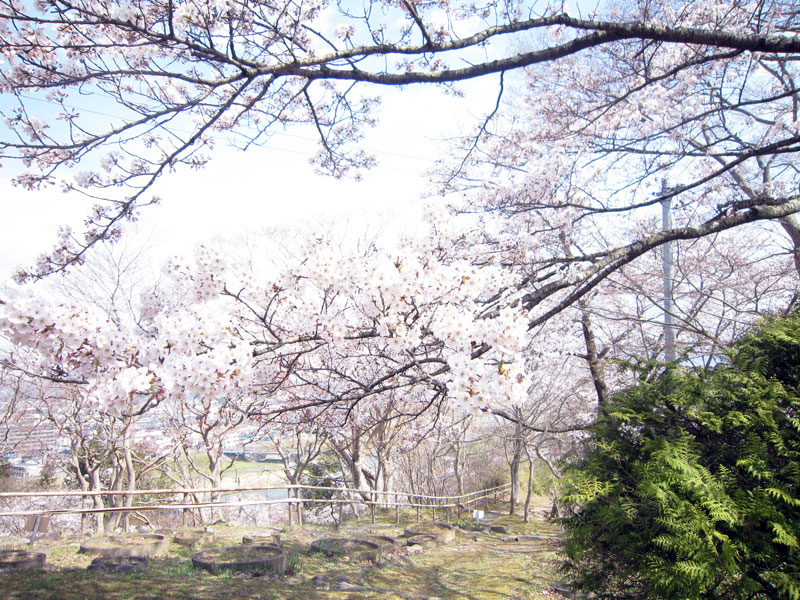 釣山公園