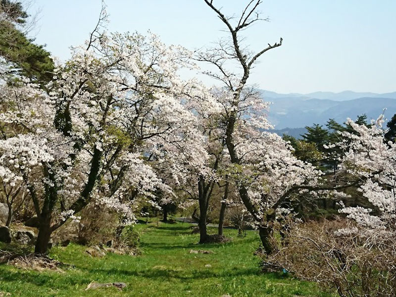 蟻塚公園