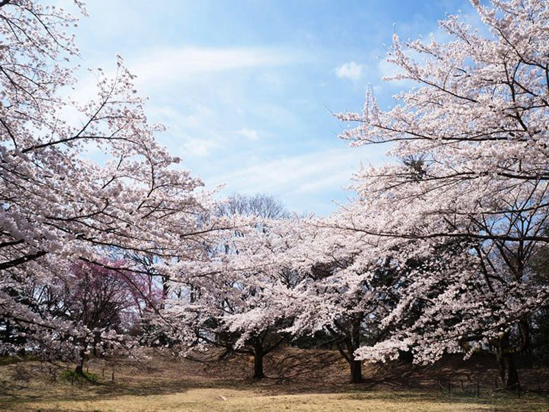 長命館公園