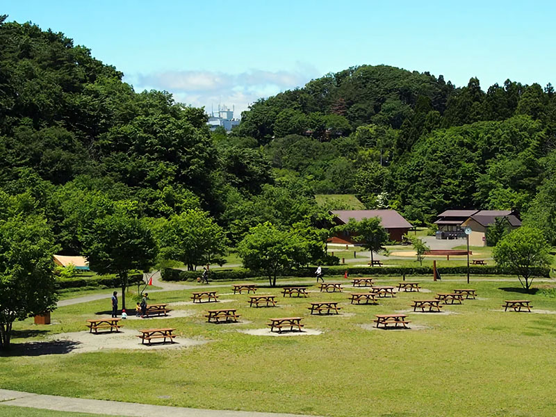 水の森公園