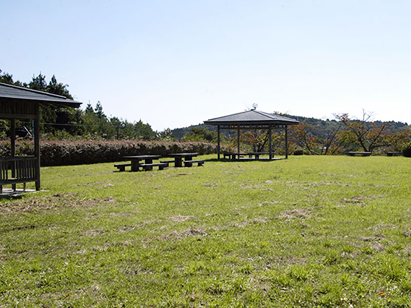 豊里笑沢自然公園(桜公園)(栗園)