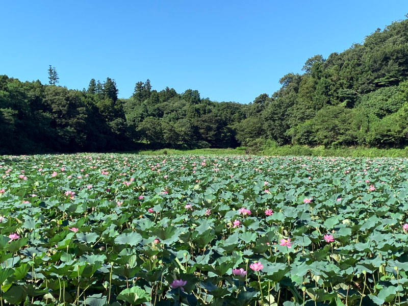 石越海上連親水公園