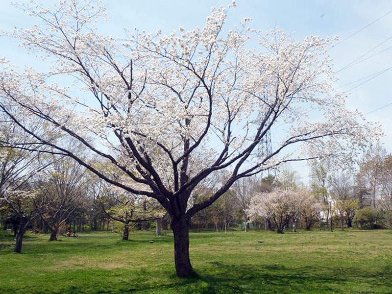 多賀城みずむすび公園