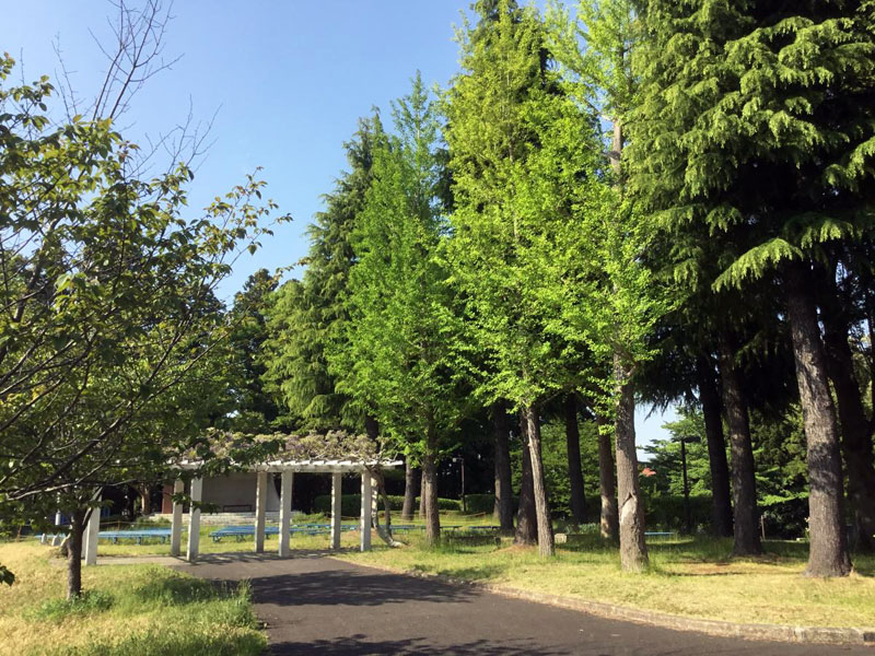 多賀城公園