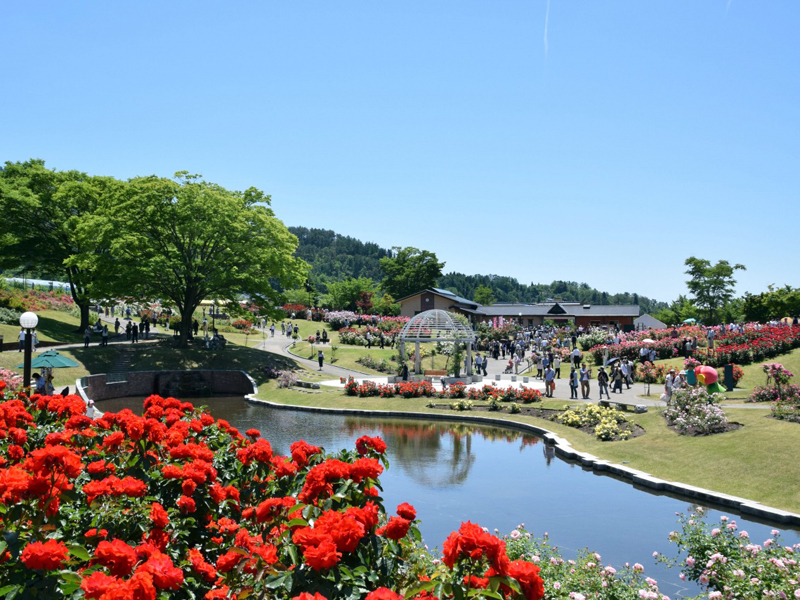 東沢バラ公園