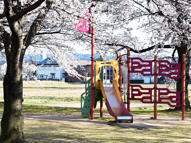 荒川桜づつみ河川公園