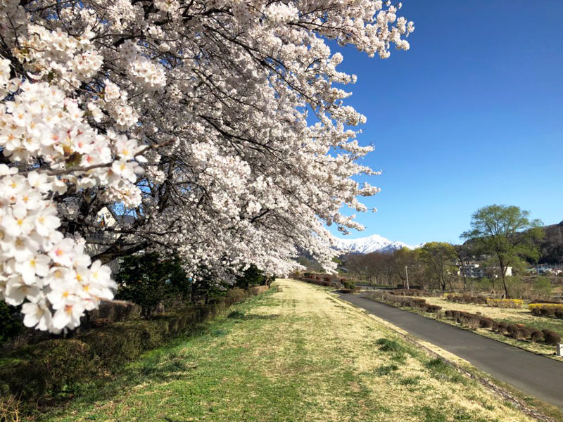 大中島公園