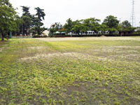 横山公園