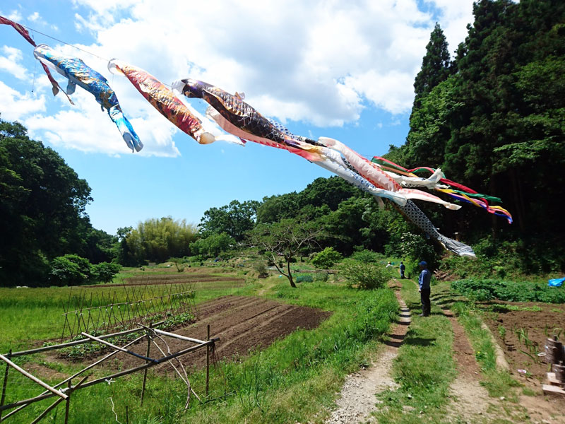 金成公園