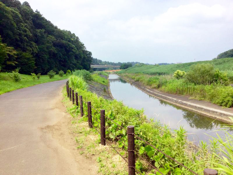 桜川緑地