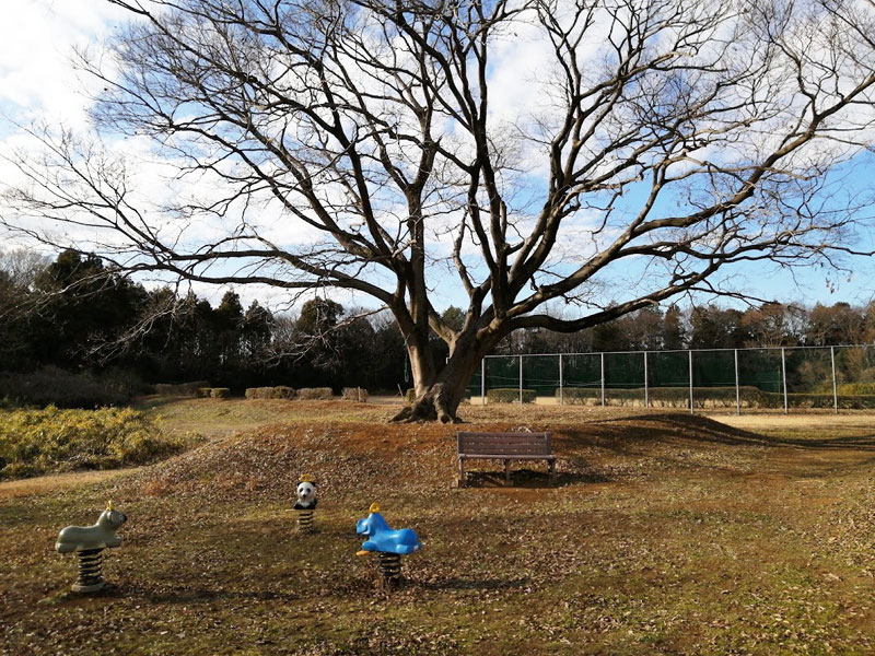 土浦市常名運動公園