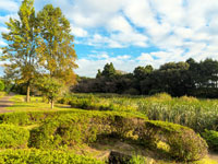 上池親水公園