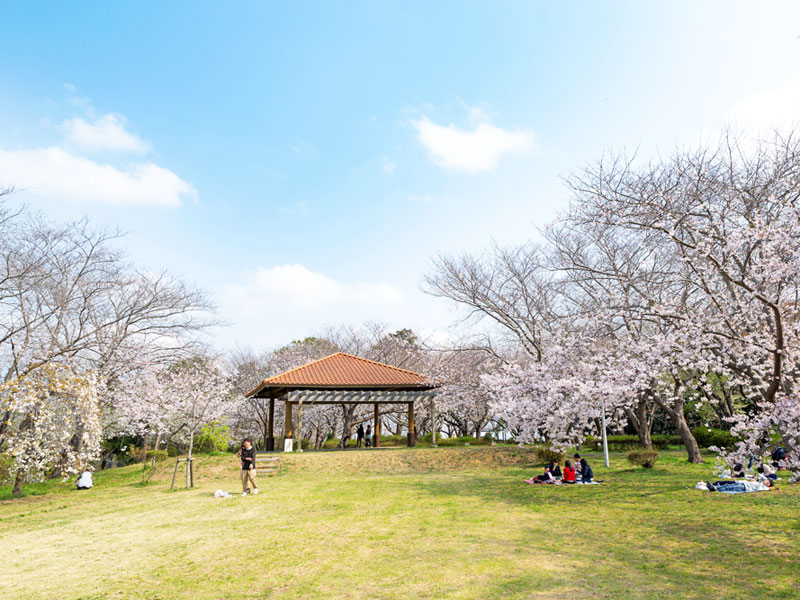 権現山公園