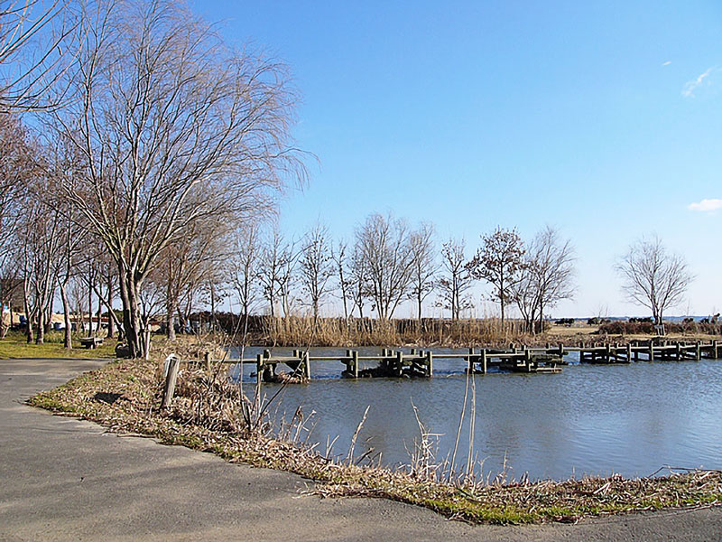 水郷トンボ公園