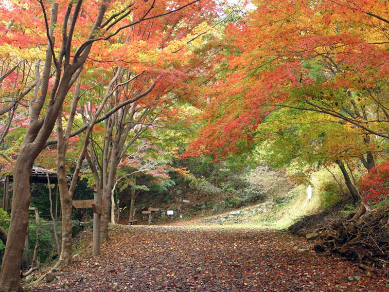 小木津山自然公園