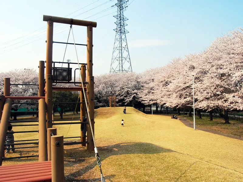 中央運動公園