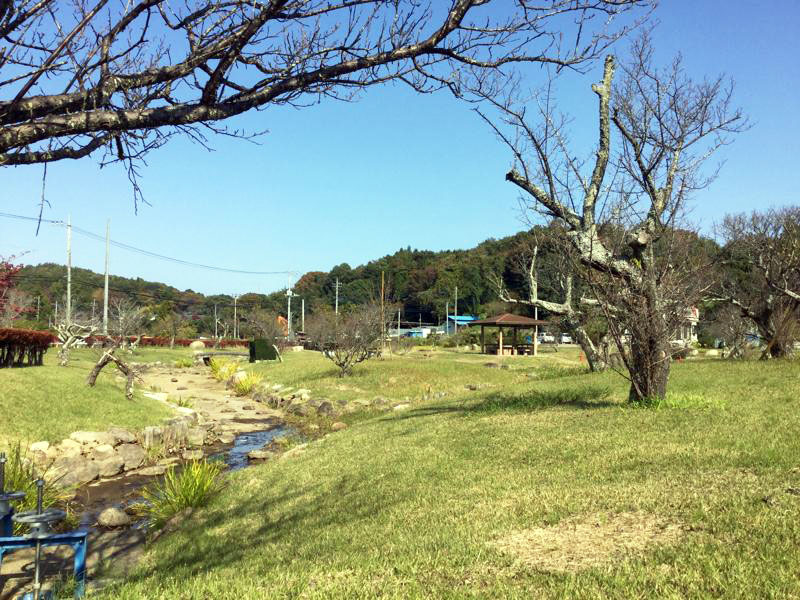 親沢池親水公園