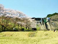 花貫さくら公園