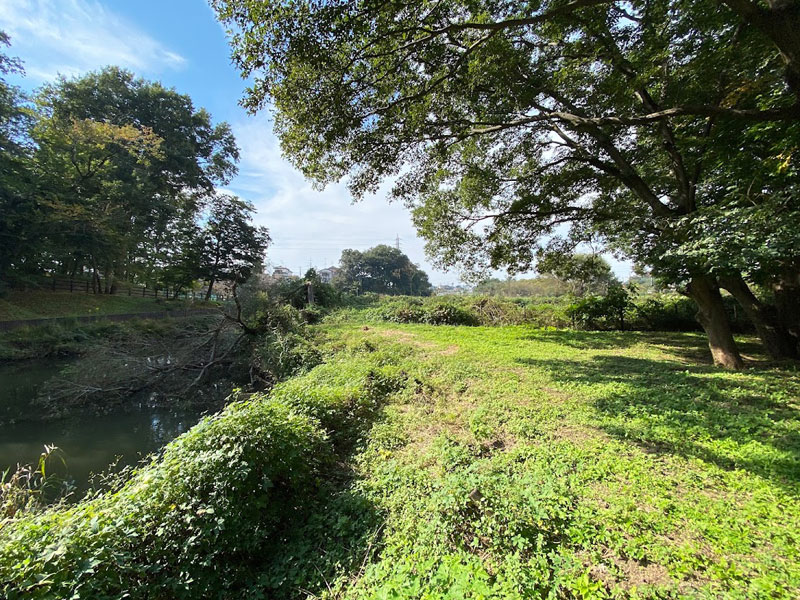 八坂水生公園