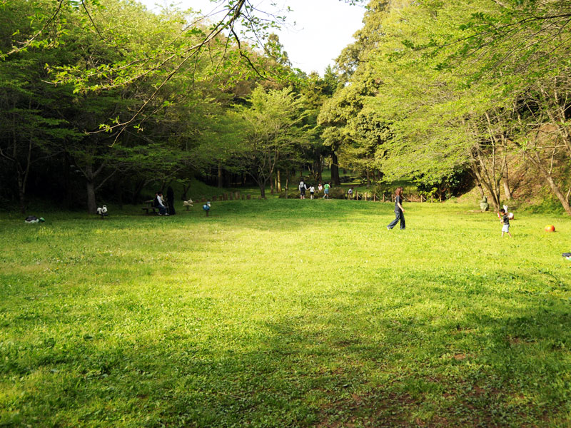 歩崎森林公園