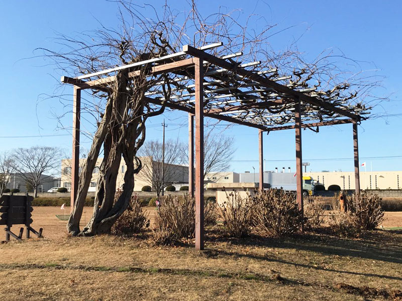 台山高森工業団地公園