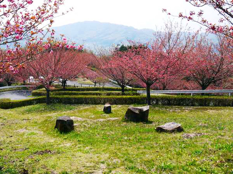 富谷山ふれあい公園