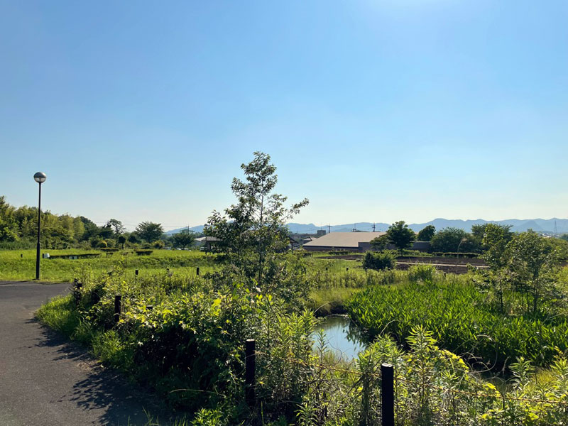 栃本公園