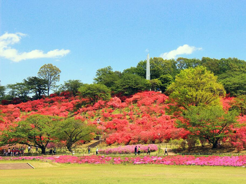 長峰公園