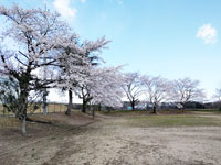 井口公園