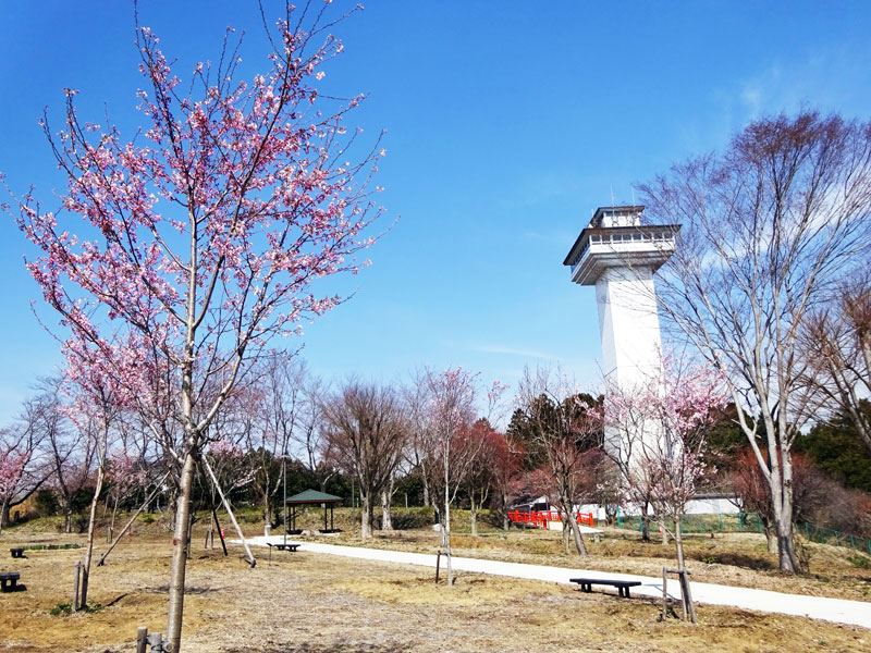 お丸山公園