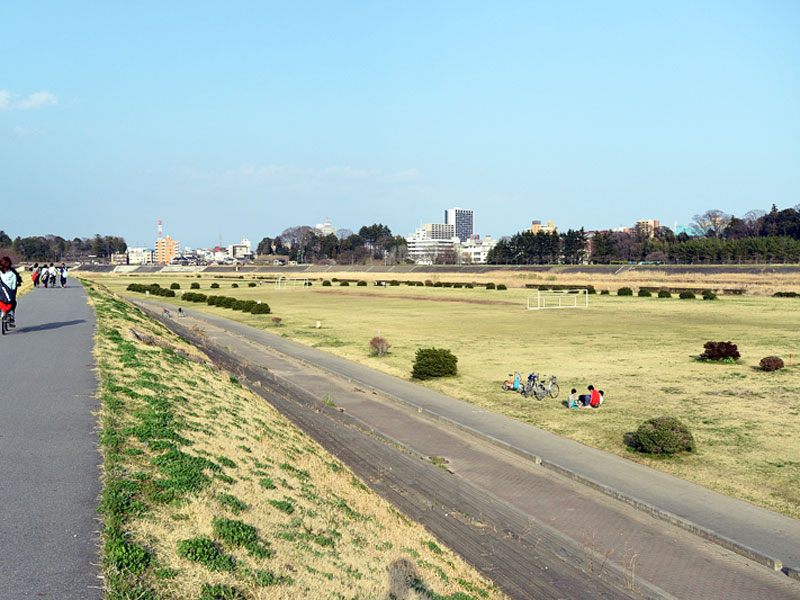 思川緑地