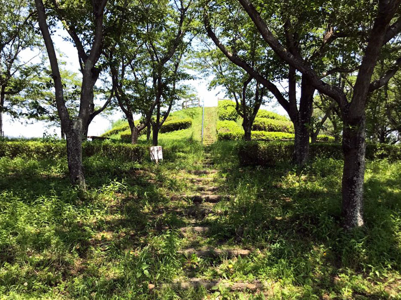 さくら公園