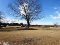 大桶運動公園