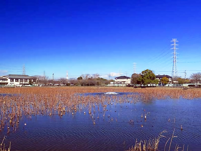 慈恩寺親水公園