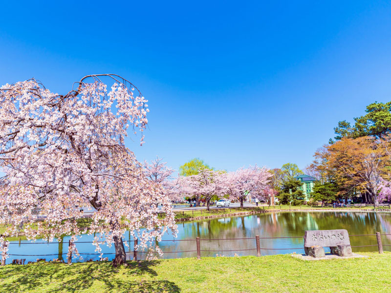 水城公園