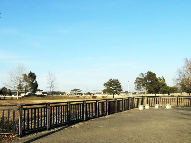 童謡のふる里おおとね野菊公園