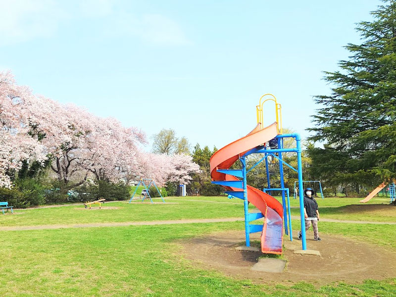 河川敷中央公園