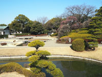 花田第六公園