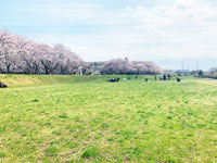 柳瀬川河川敷広場