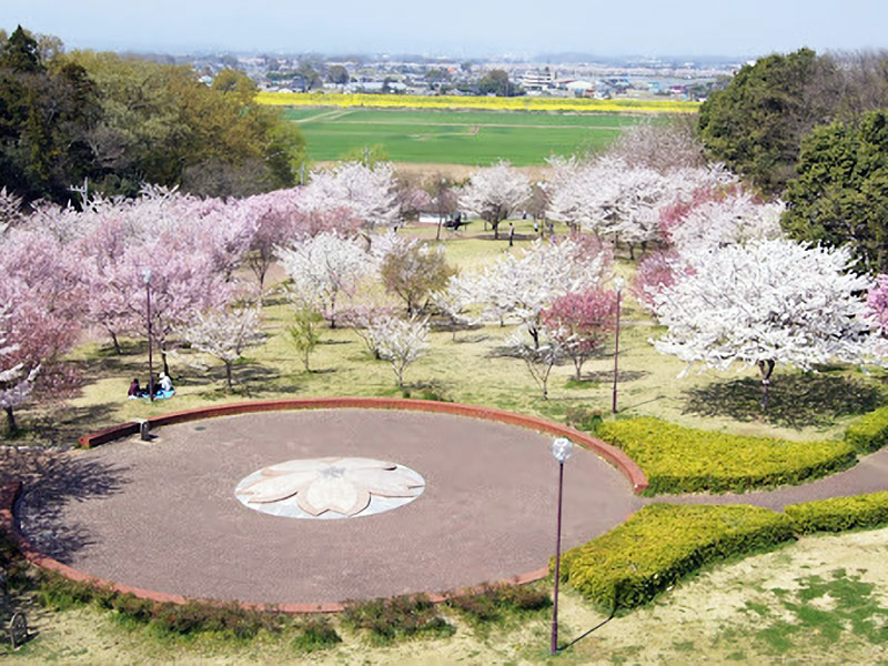 ⾼尾さくら公園