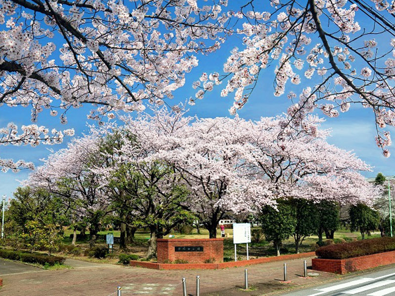 早稲田公園