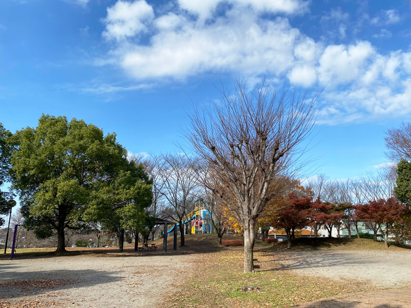 根ヶ谷戸公園