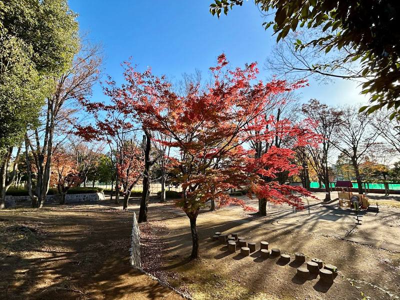 鶴ヶ島南近隣公園