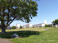 犢橋貝塚公園