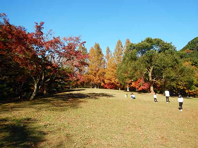 泉谷公園