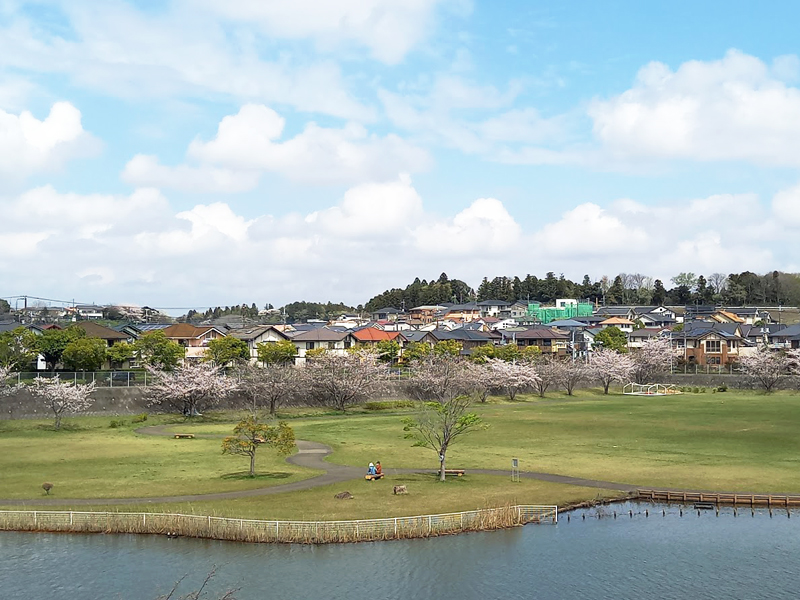 染井野調整池広場