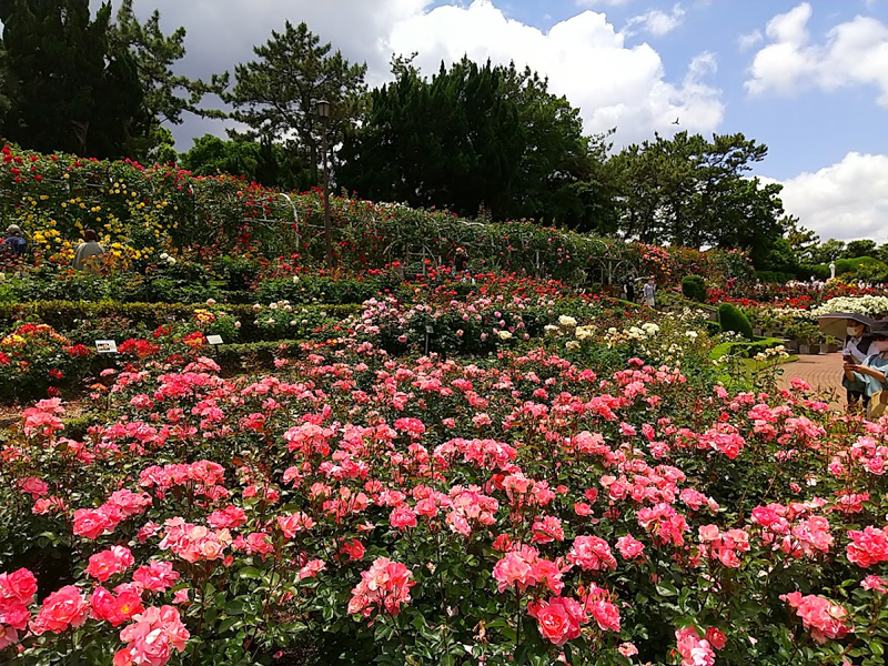 谷津公園