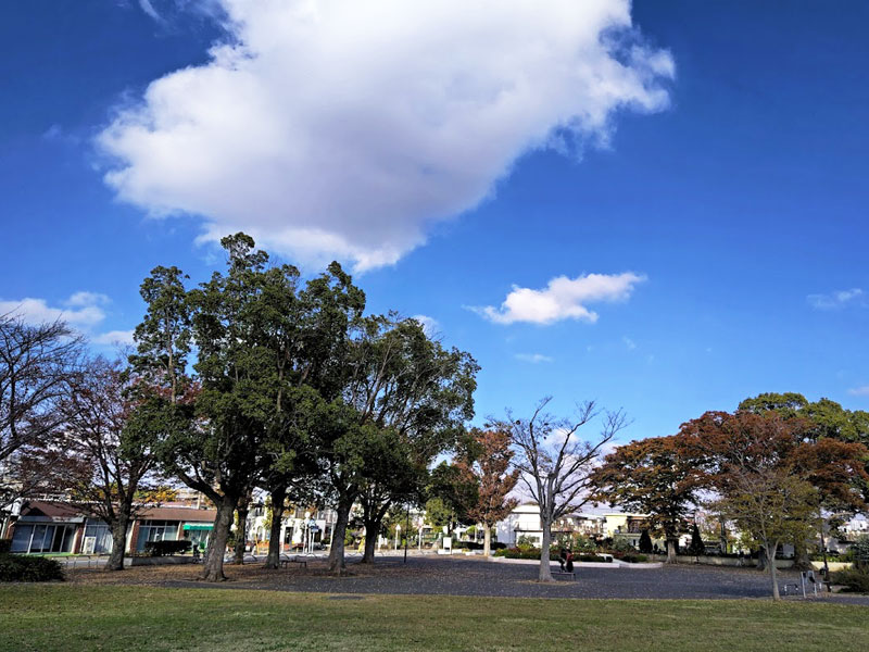 勝田台中央公園