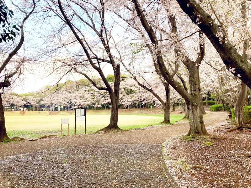 飯綱近隣公園